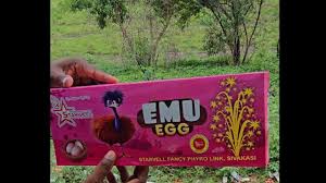EUMO EGG